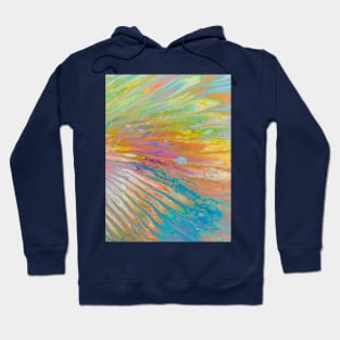 Rainbow wing Hoodie